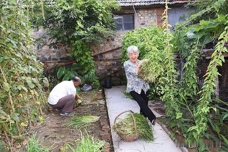 长寿最好方式不是养生、睡觉，而是在62～67岁这五年，保持这4点

退休后那几年