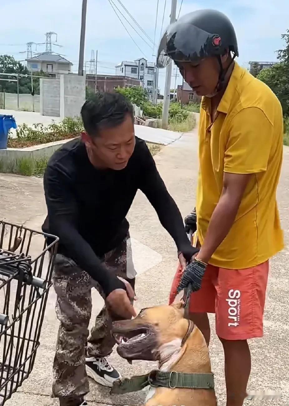 看到这个小哥阻拦狗贩子的事儿，真心觉得他太有正义感了！狗贩子视狗命如草芥，实在可