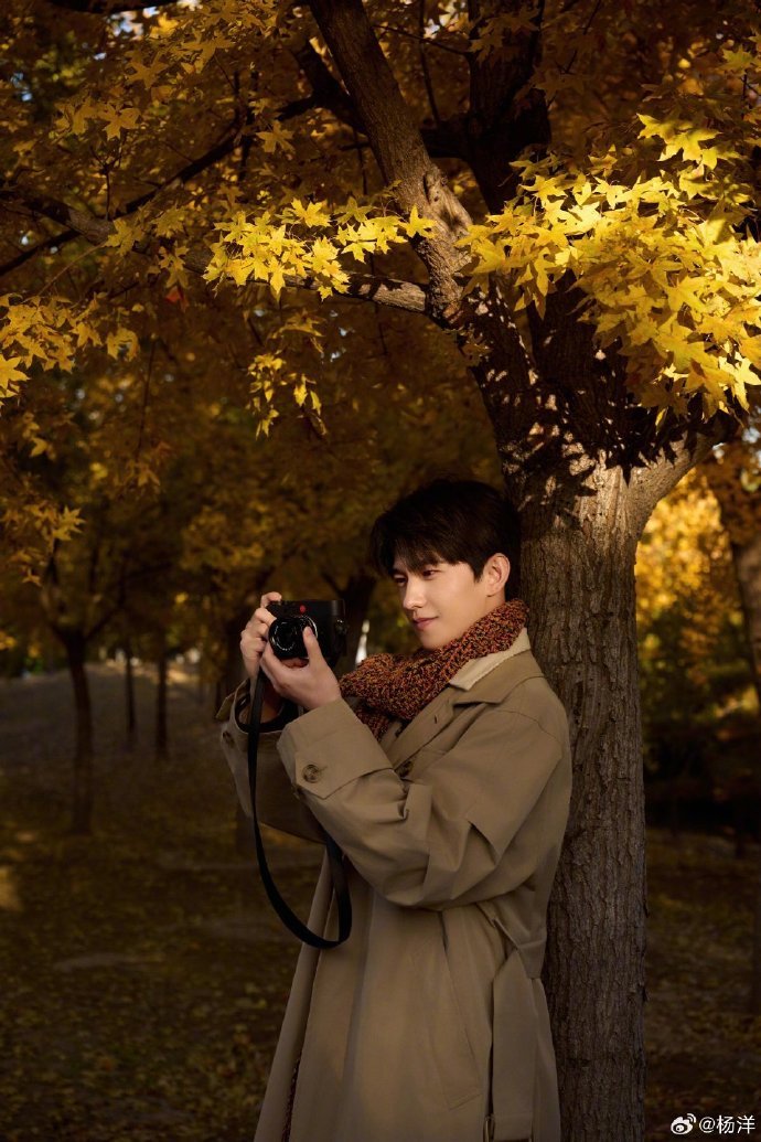杨洋美拉德穿搭帅成这样 杨洋的秋日营业直接封神！美拉德色系穿搭适配度满分，风衣配