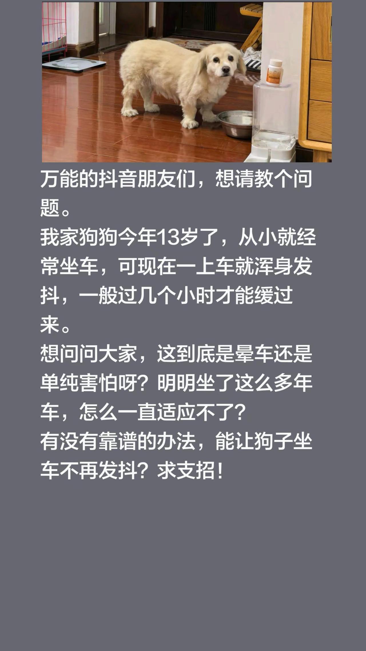 万能的朋友们，想请教个问题。我家狗狗今年13岁了，从小就经常坐车，可现在一上车就
