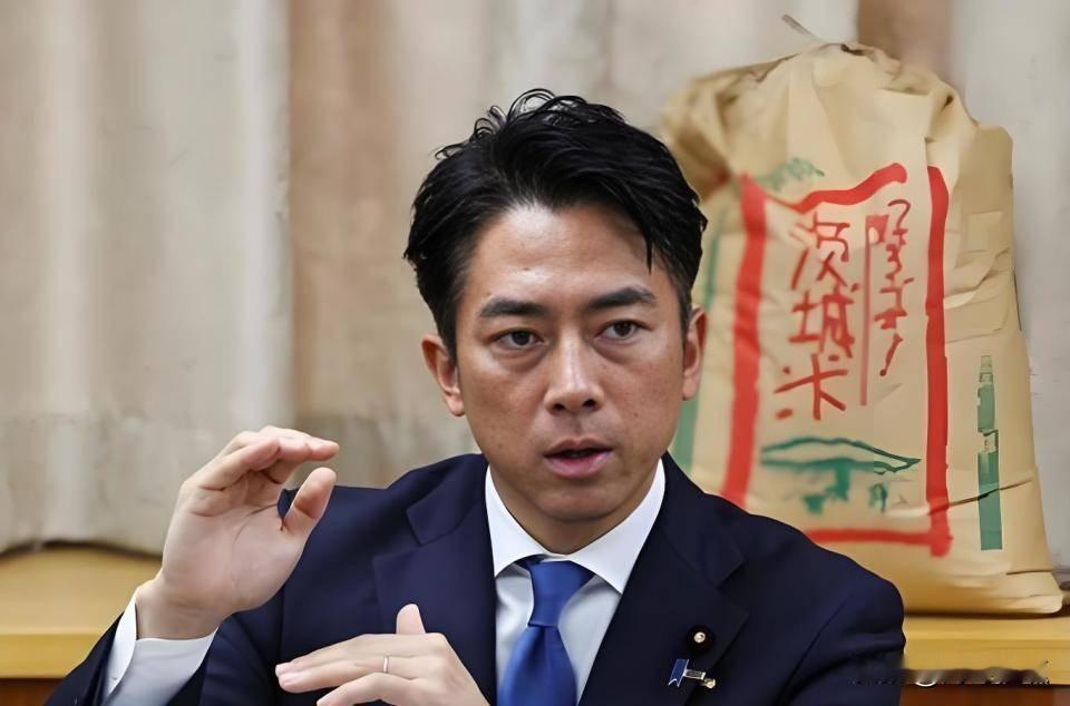 8月15日，日本宣布无条件投降81周年。就在这一天，现任防卫大臣小泉进次郎走进靖