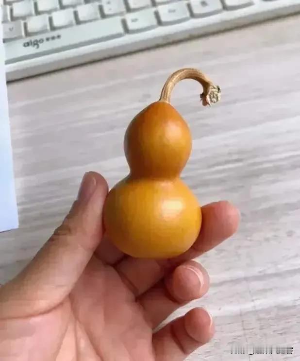 这是我去北京时候。在潘家园淘到的一个喜欢的小葫芦。

第一次路过,问老板:多少钱