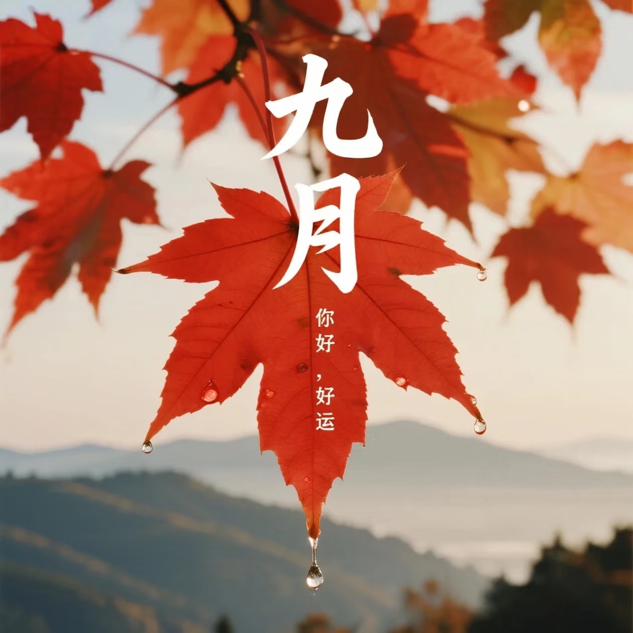 九月好运都奔你而来[好运连连][好运连连][好运连连]​​​