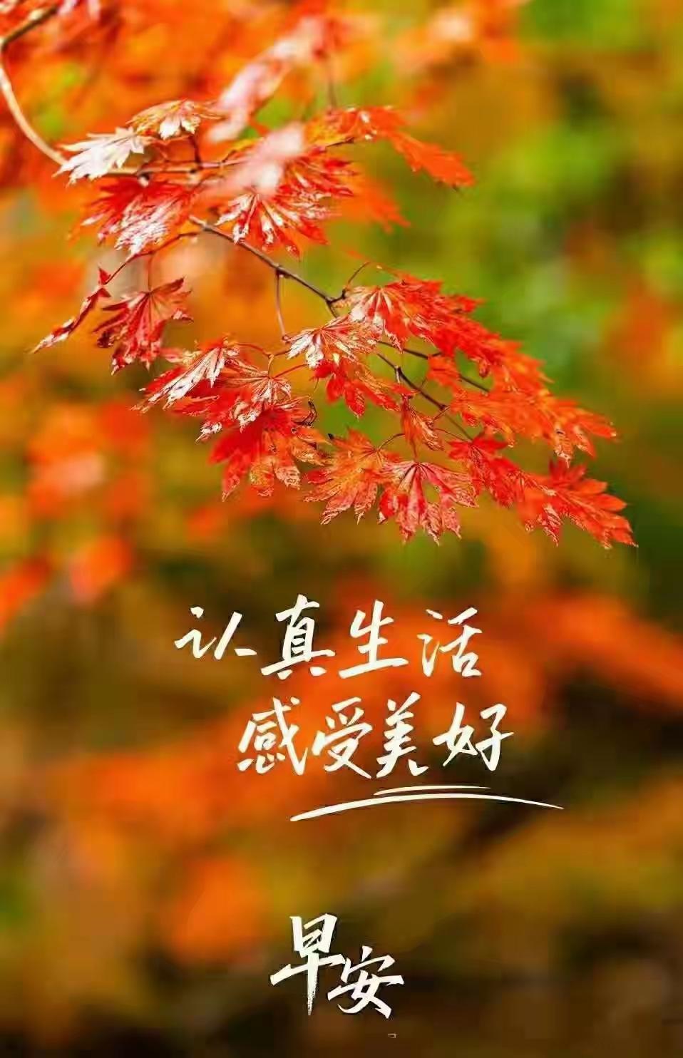 红叶送暖，晨光温柔。心宽日子亮，人顺万事兴，愿你平安添福寿，吉祥伴好运！