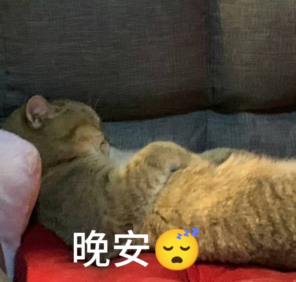 分享图片 