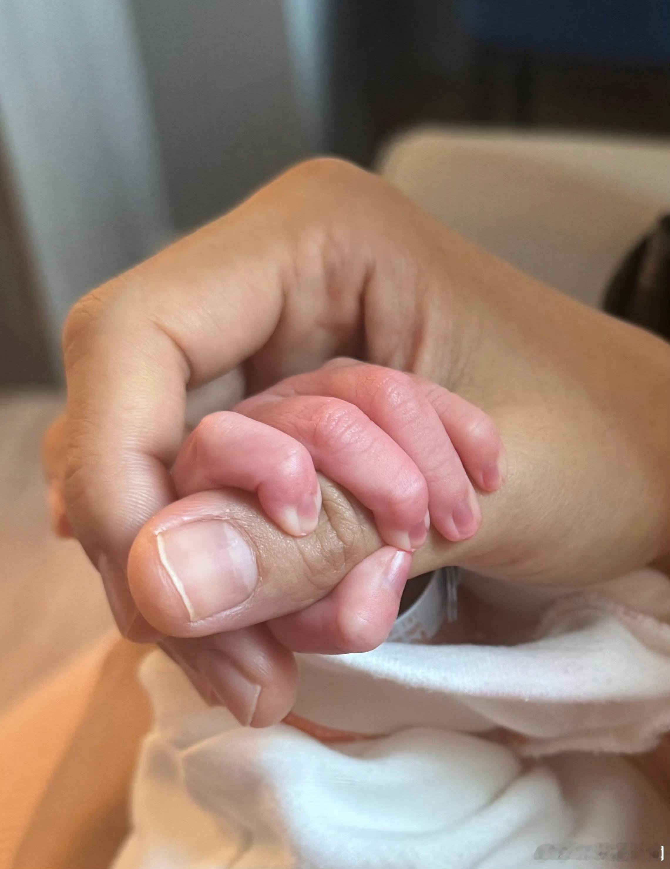 林依晨回应生二胎原因：“想帮小林（女儿）添个手足，互相扶持，成长过程中也比较不会
