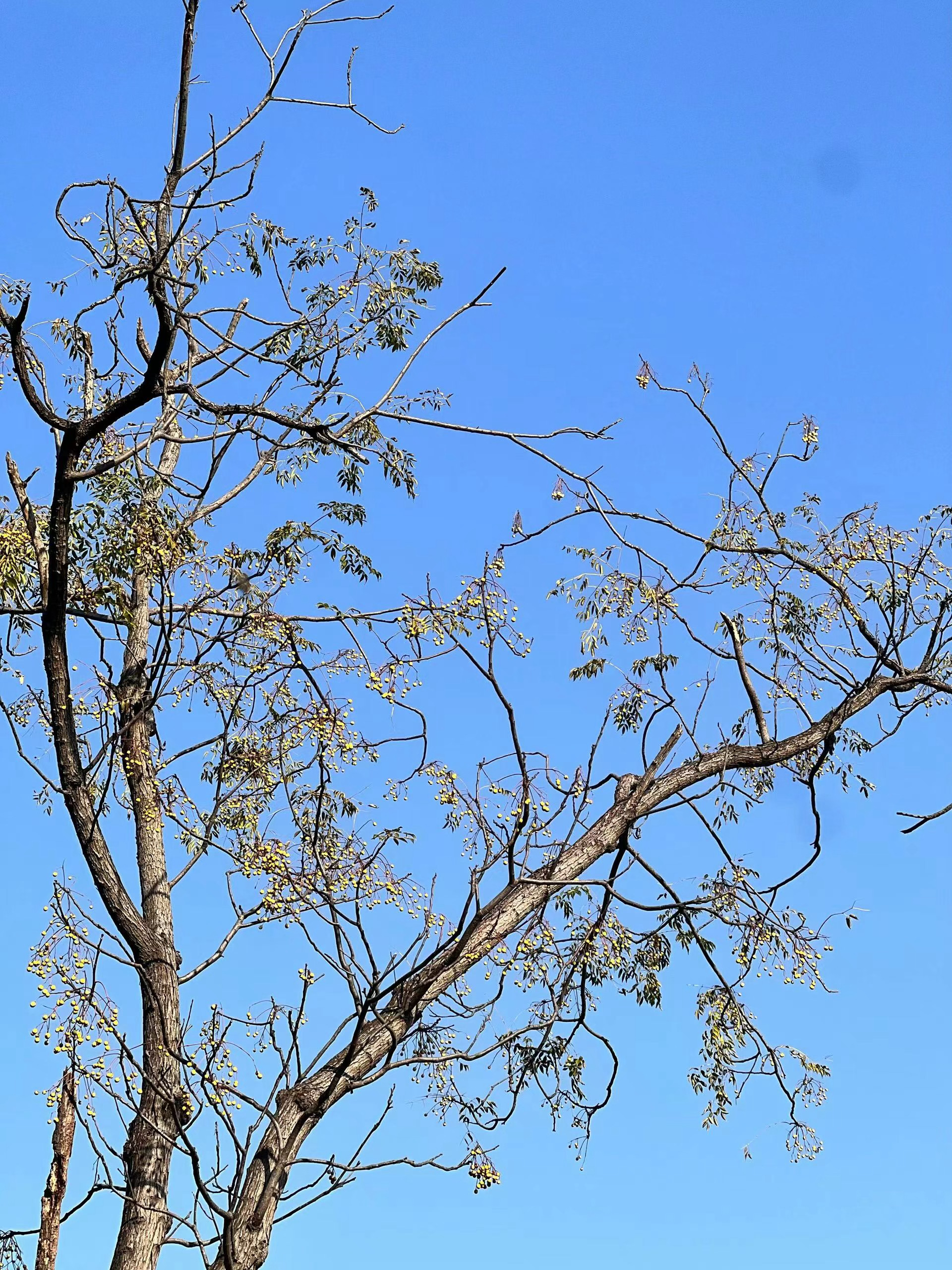 有人问我：「真诚」和「容易被拿捏」有什么表现上的区别？其实区别不大，关键在你有没