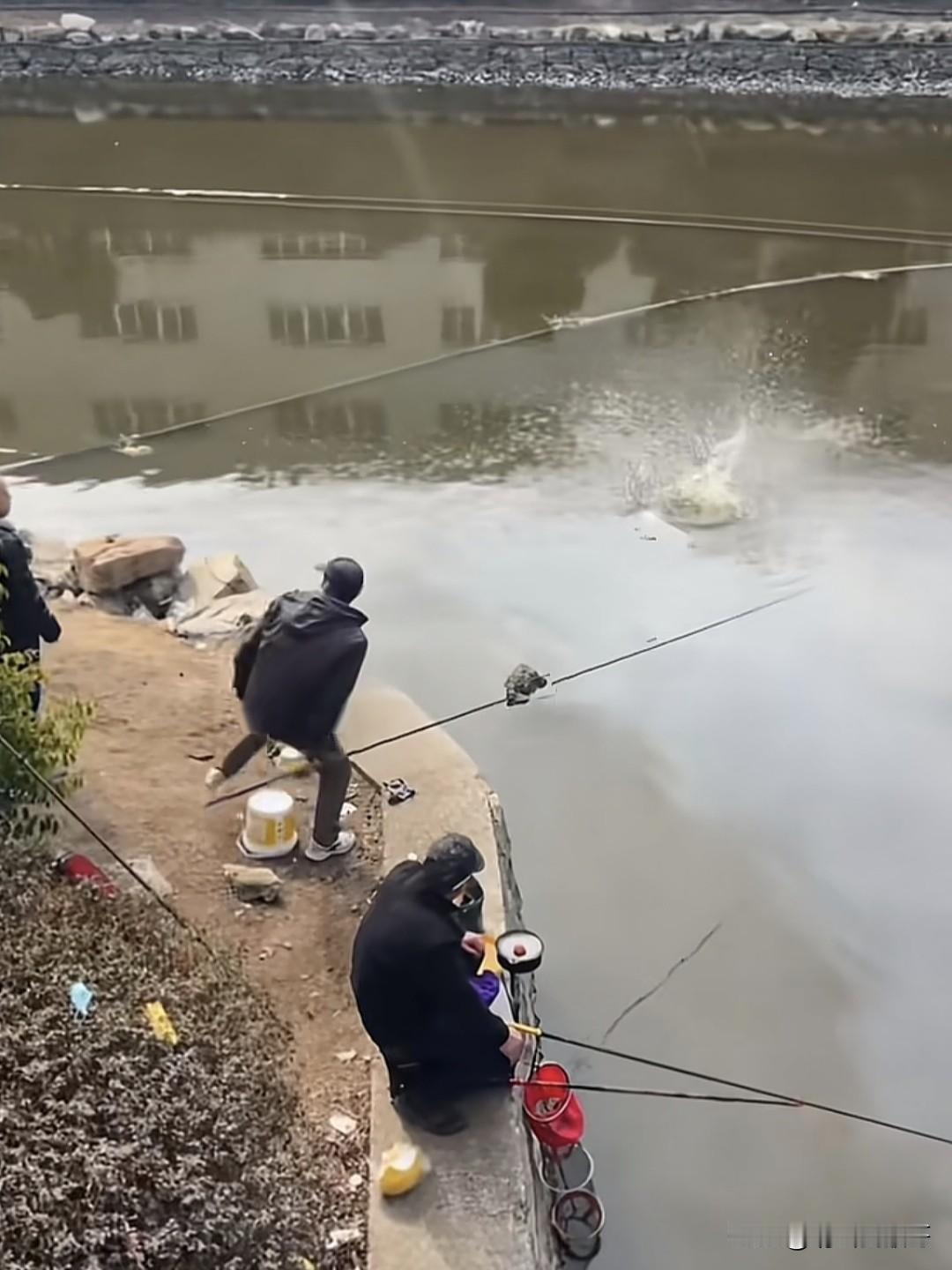 天下钓友是一家，何必闹这出呢？