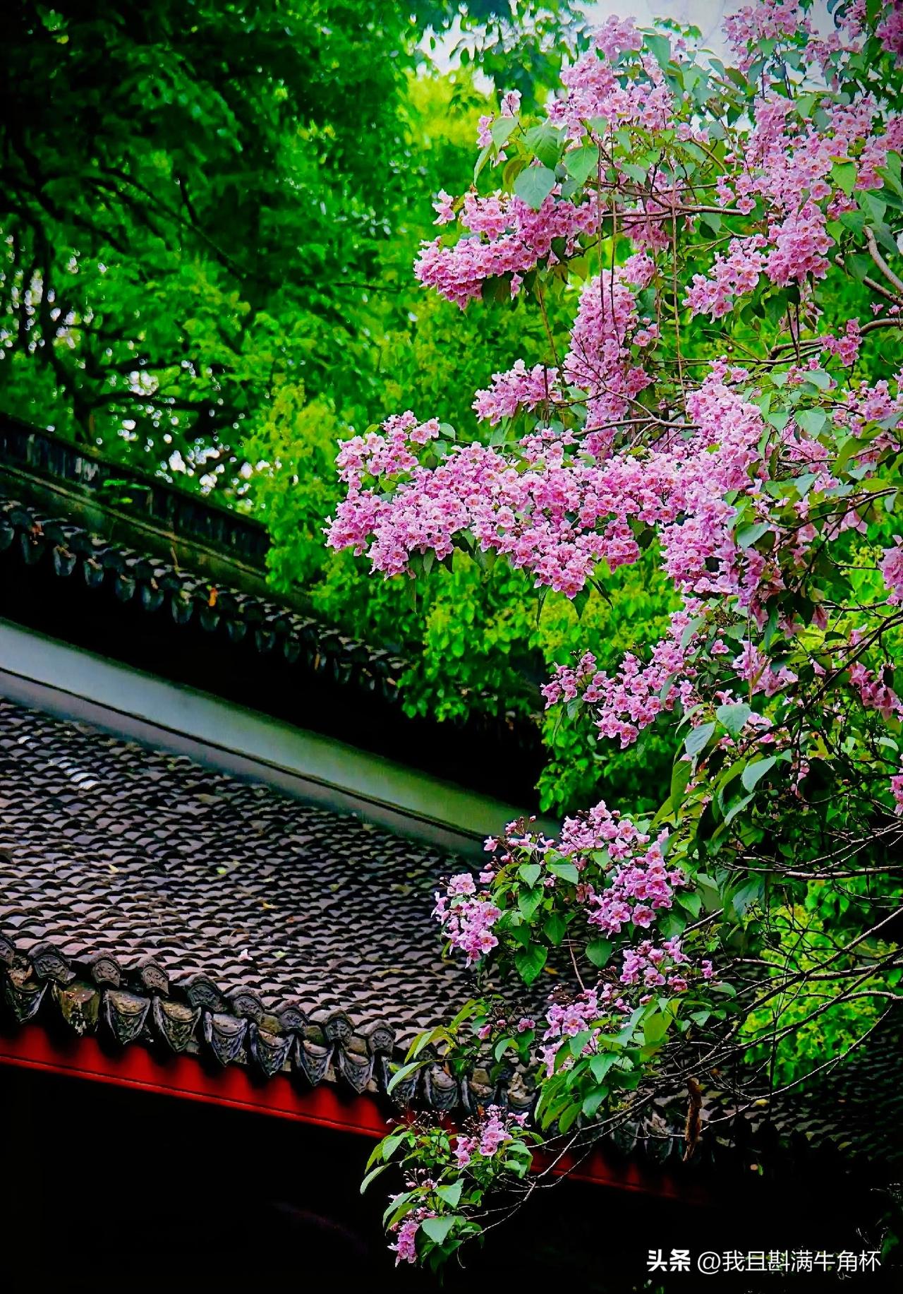 上联：愁里光阴花下叹
下联：有请雅士[玫瑰][玫瑰][玫瑰]