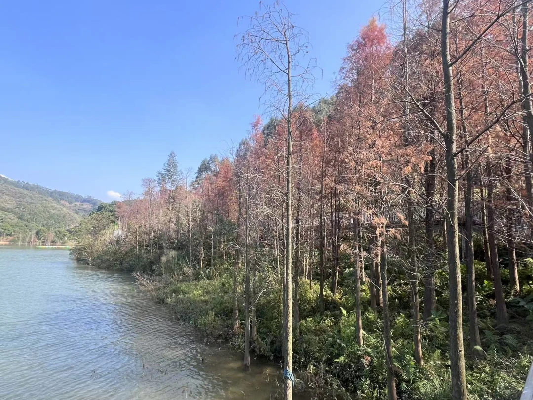 游师兄从经脉角度分析练功的好处