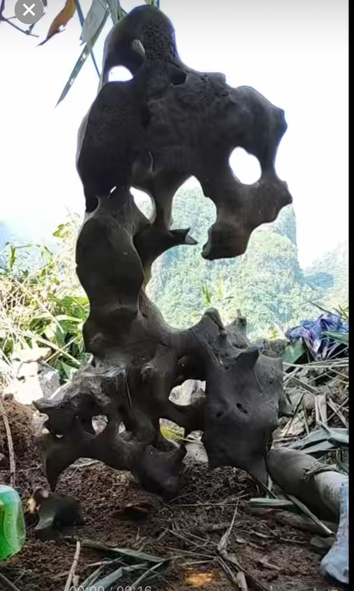 这石头有点意思[送自己一朵花]