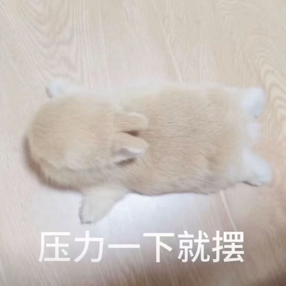 我打游戏belike ： 