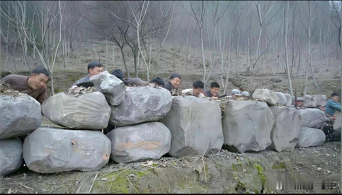 刷到这个照片，让我不得不吐槽如今的抗战剧，实在让人扼腕叹息。

笔挺崭新的军装、