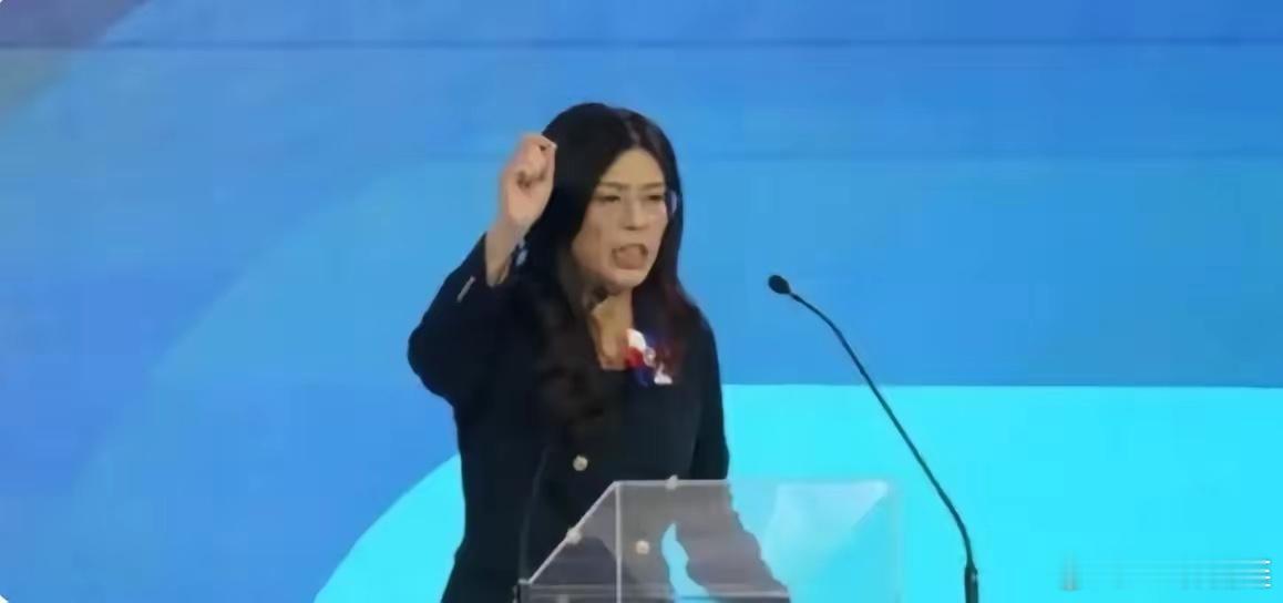 郑丽文在丹麦说漏嘴：两岸不互信，就用武器说话，近日还去美国谈军购，行动代表一切。