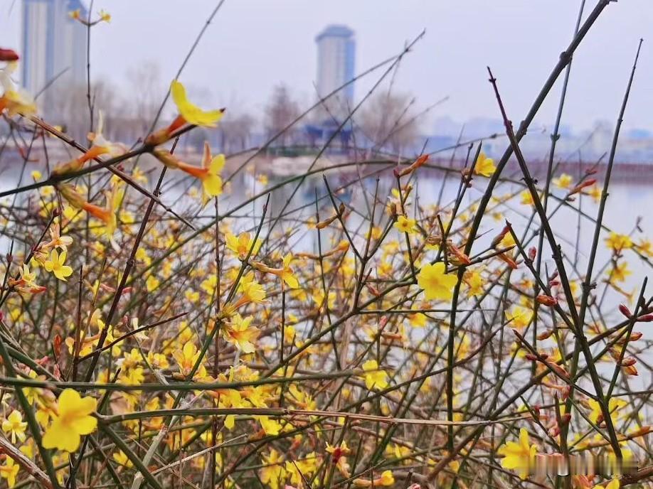你信不信？不管婆婆对儿媳妇再好，很难走进她的心窝里。
儿媳妇进门后，婆婆就把她当