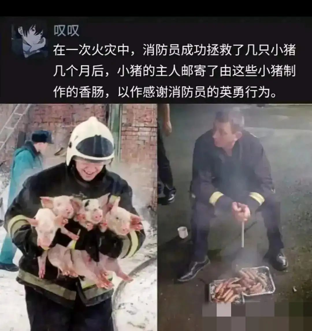 <img src=
