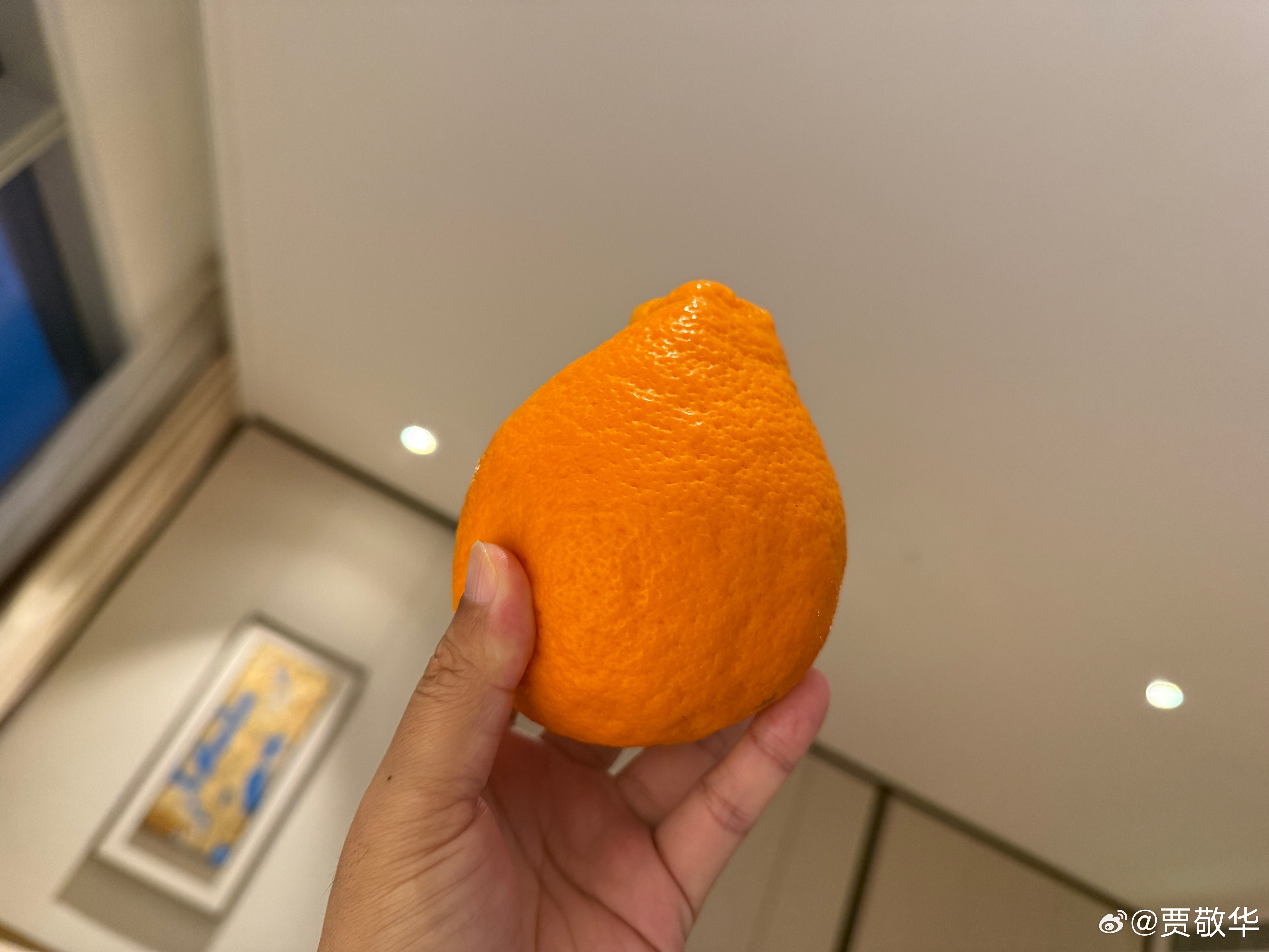 刚才服务员送了一个耙耙柑，不知道是不是这个名字？这种水果，看起来像橘子呀。 