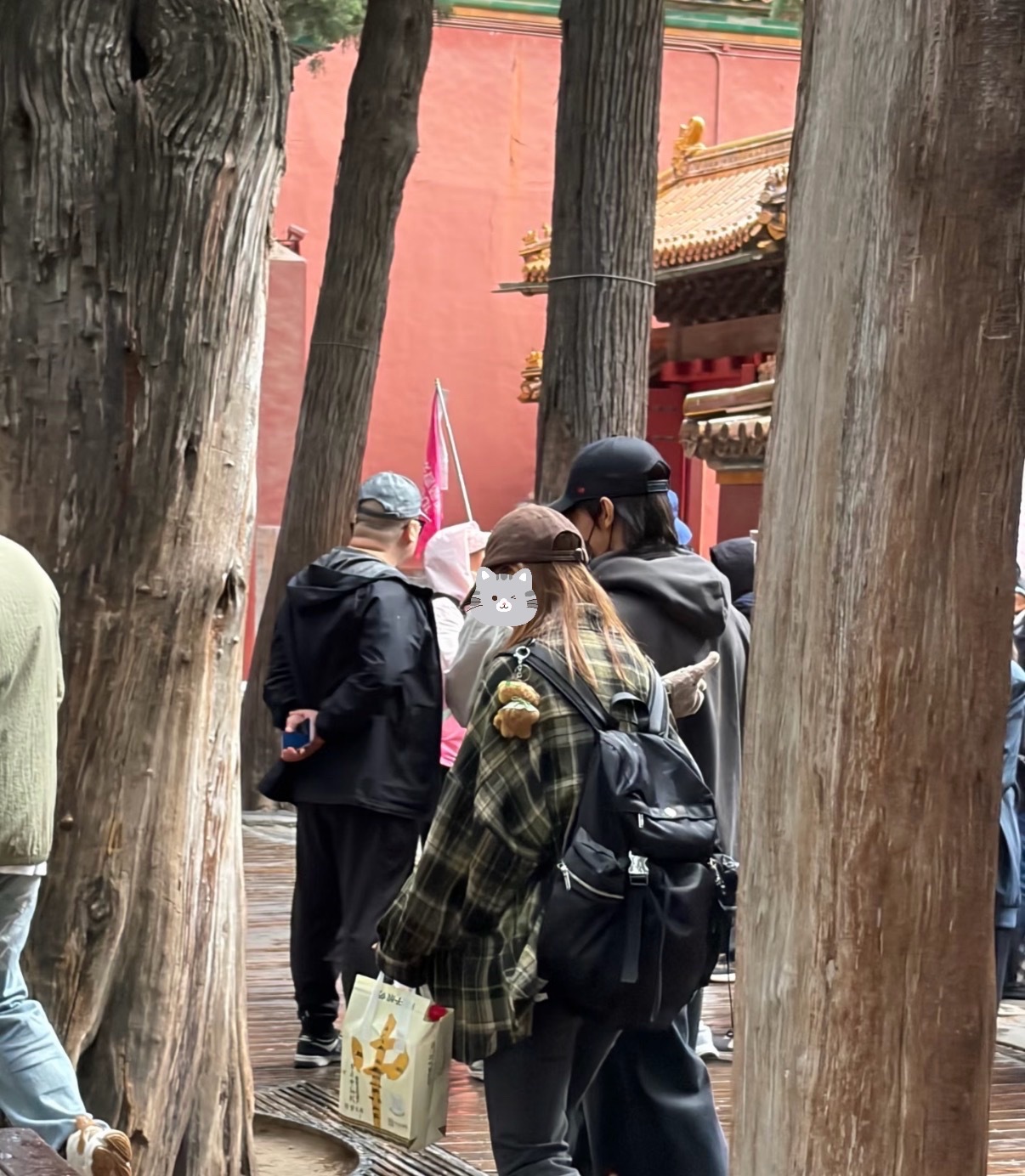 故宫博物院偶遇张泽禹网友故宫偶遇张泽禹 网友故宫博物院偶遇张泽禹 