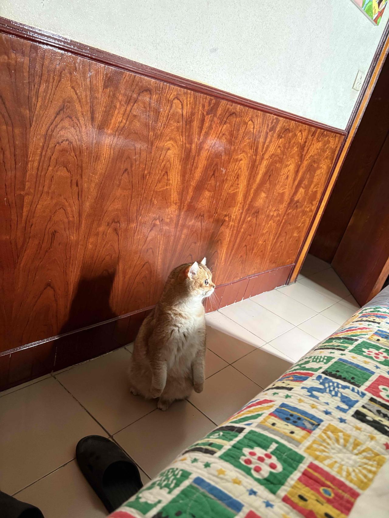 你只有当下，永远不变的当下，所有一切都发生在当下，所有经验都发生在当下，所有非经