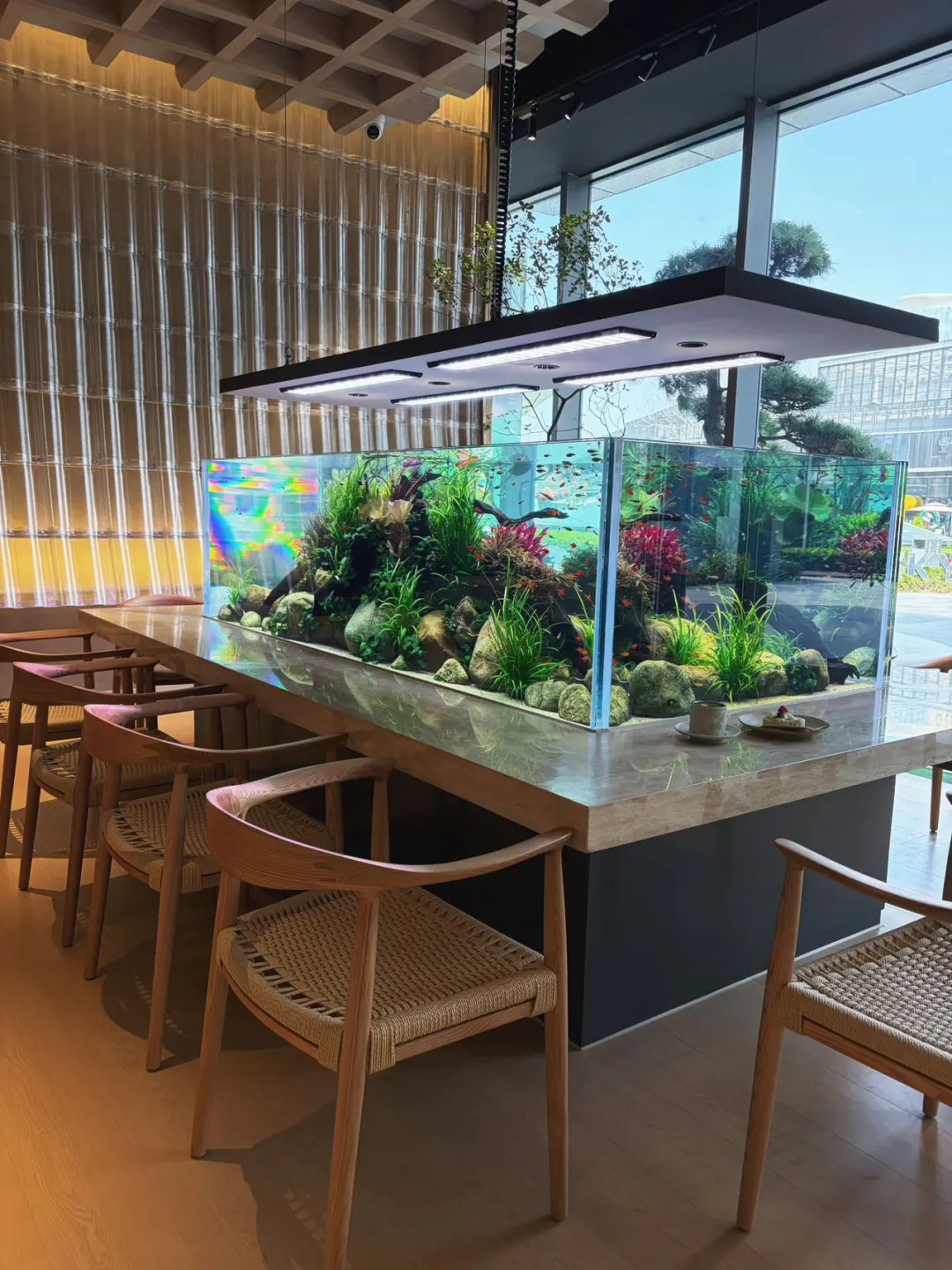 在我的私藏茶馆🍵想和你一起虚度光阴