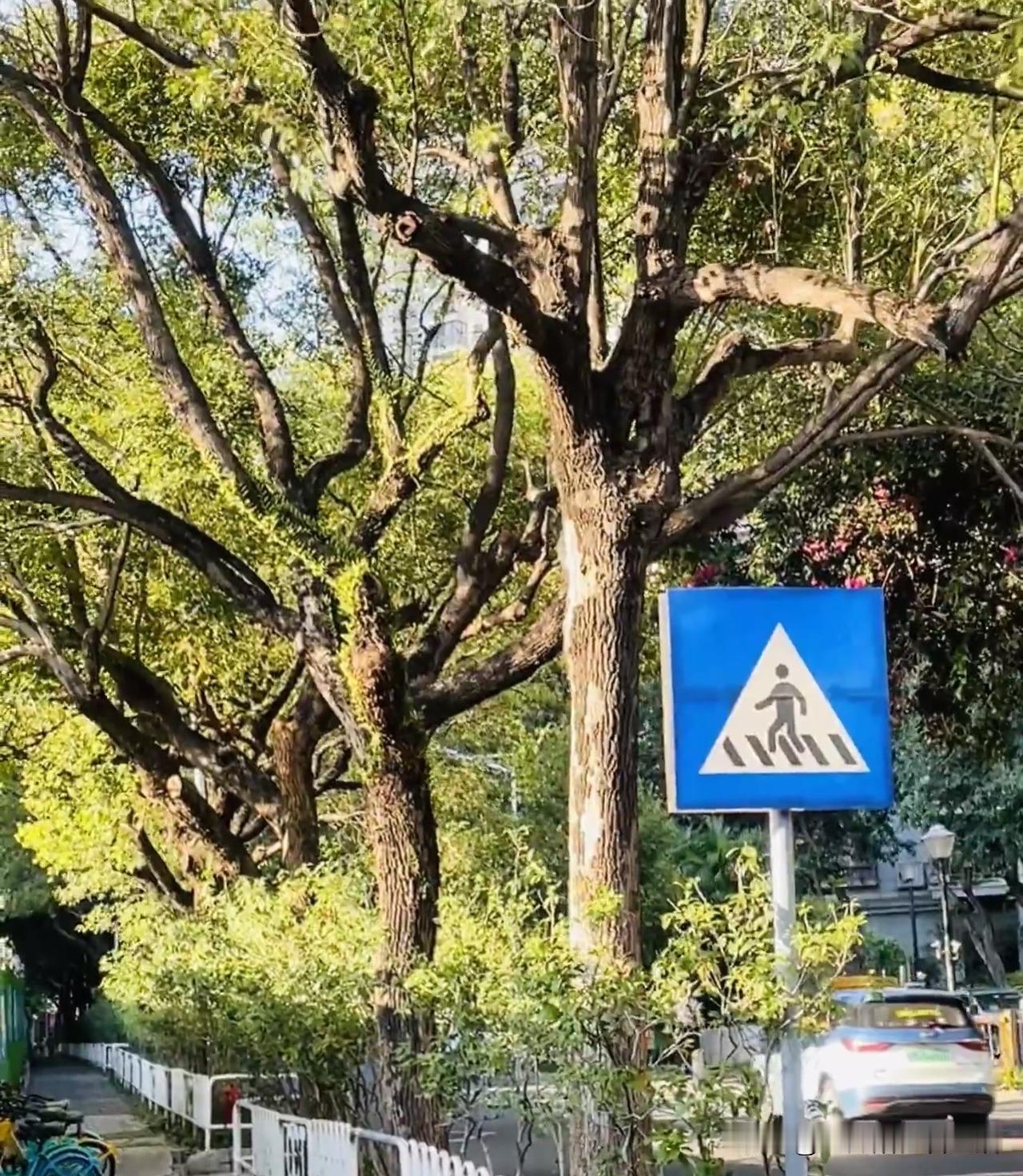 一句话记录春日心情春天如约而至，万事皆可期待。