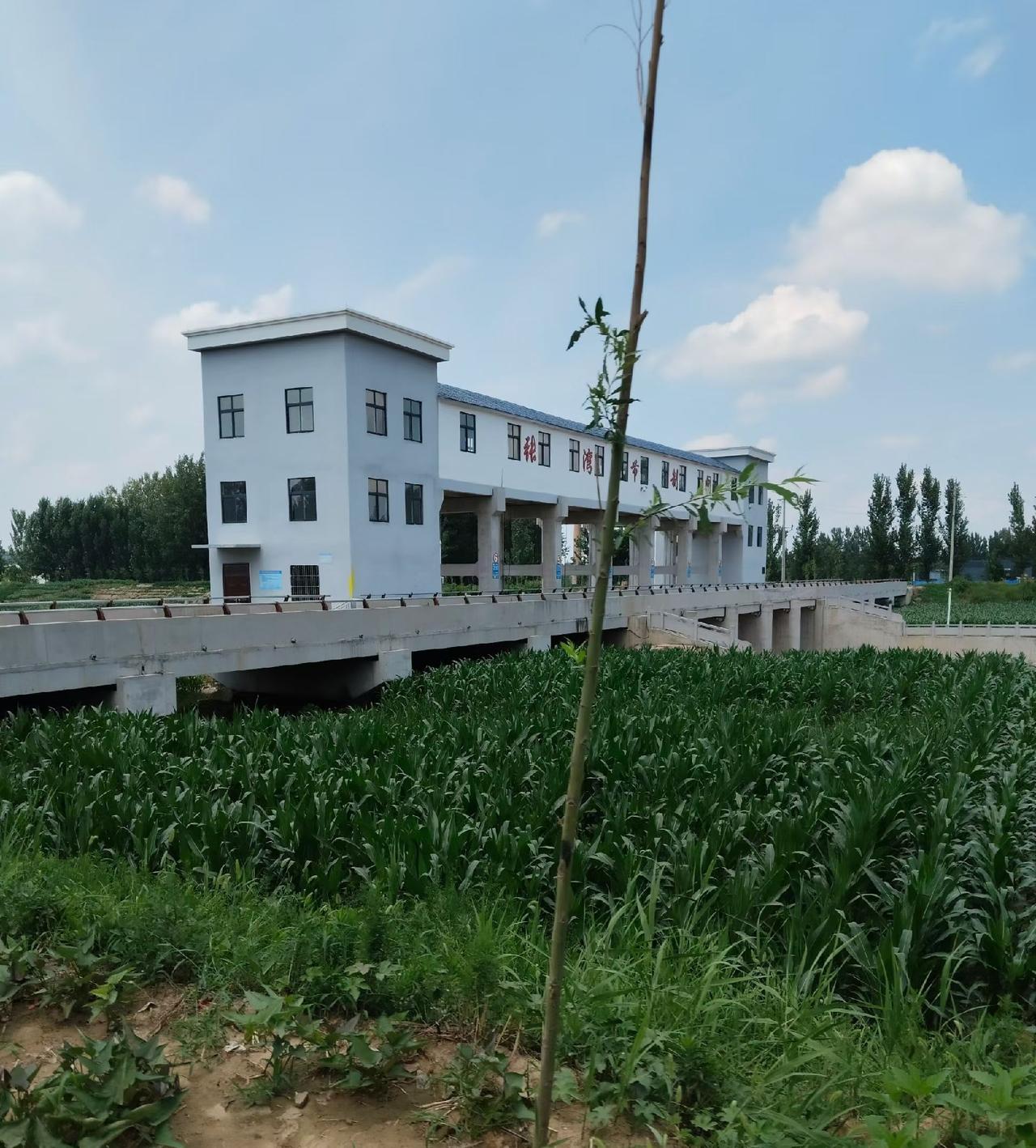 定陶区张湾镇东鱼河张湾节制闸
