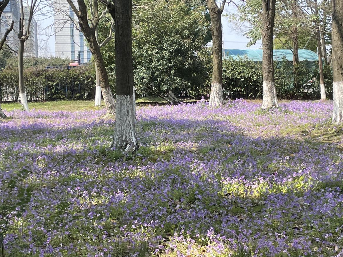 我的今日状态：😁轻松愉快
我这里的天气：☀️晴天