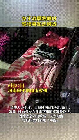 “上辈子积德了！”河南平顶山，一女子半夜被父亲敲窗叫醒，等起身下床时，竟看到1米