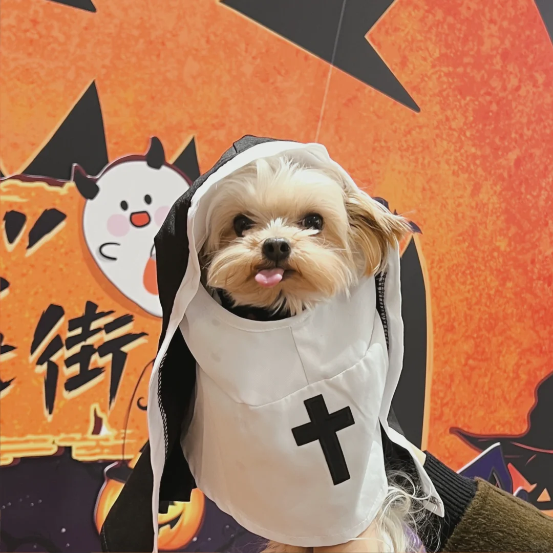 Cos修女的约克夏🐶