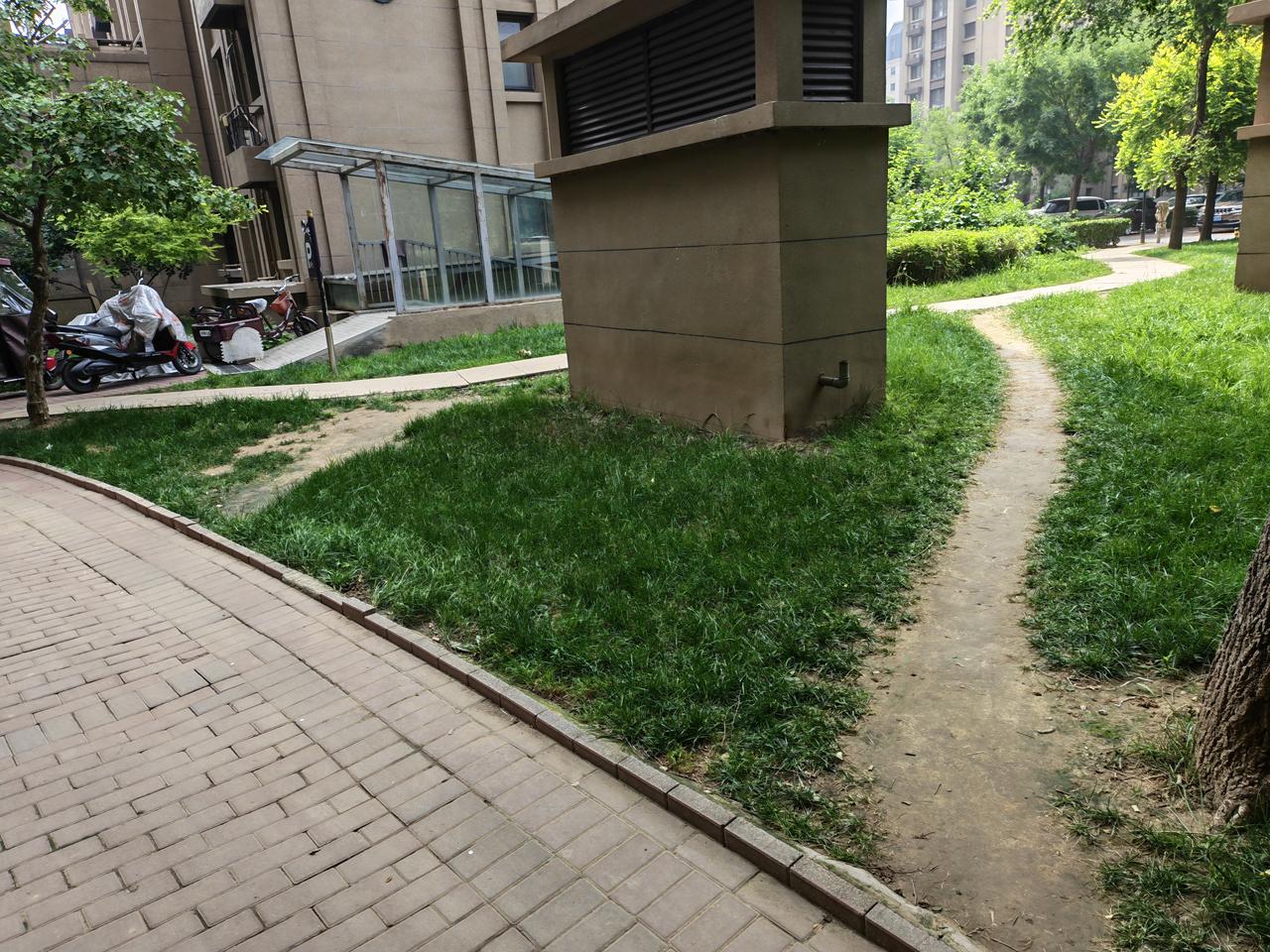 小区一景
只为少走十几步，
茵茵草坪踩成路。
园林工人千滴汗，
万般辛苦尽皆无。