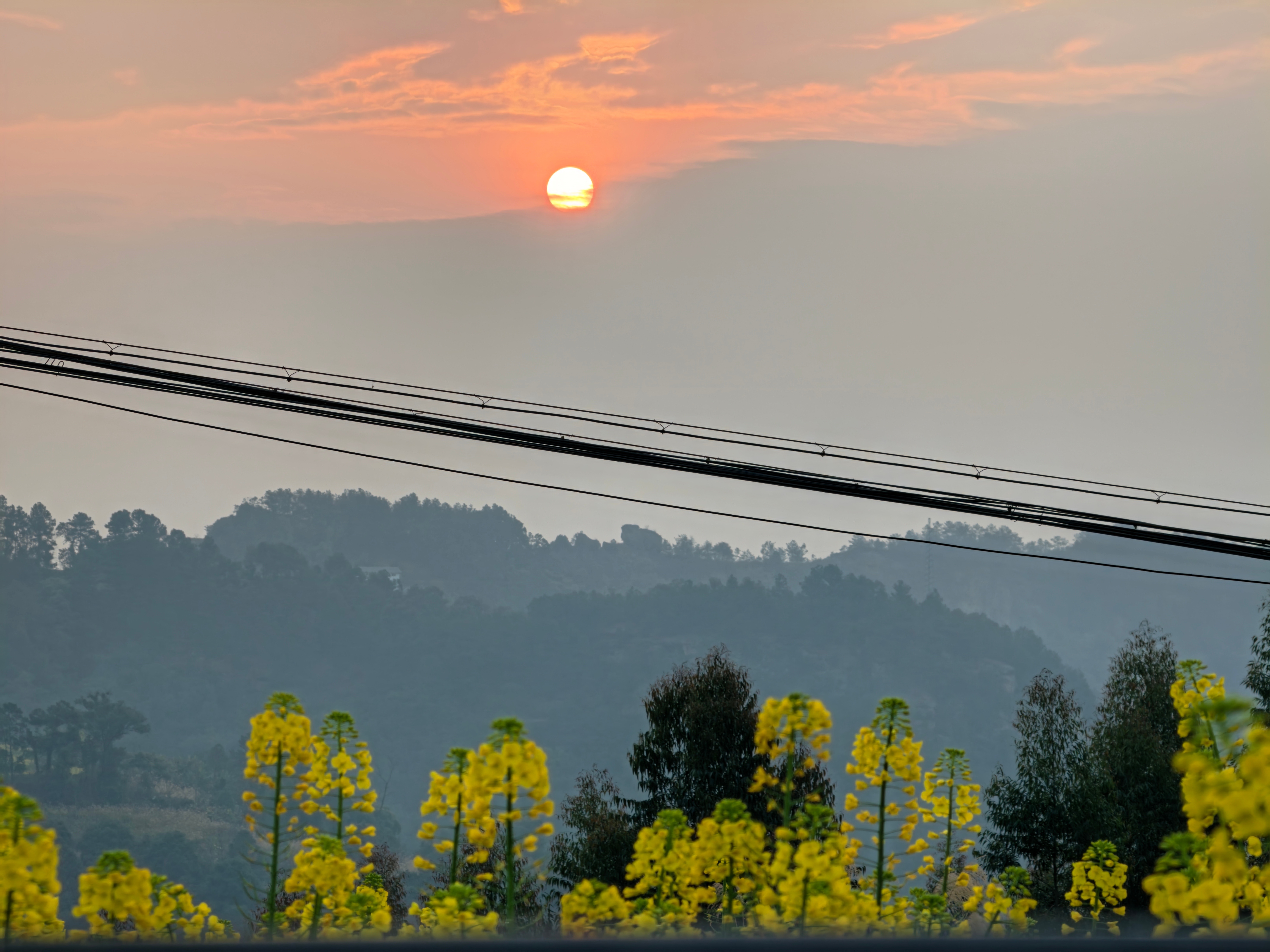 早ﾉ☀乡村日出别是一番风味。ps:菜籽花花非黄。 内江·土店村