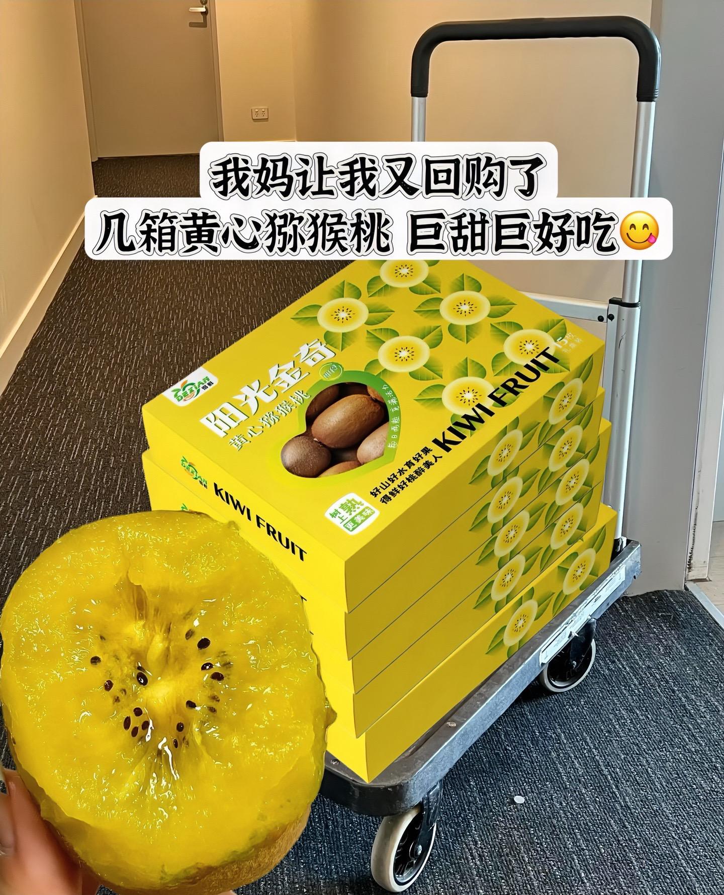 猕猴桃还是要吃黄心猕猴桃，巨甜巨好吃一年就这一季，错过又要等一年，快来...