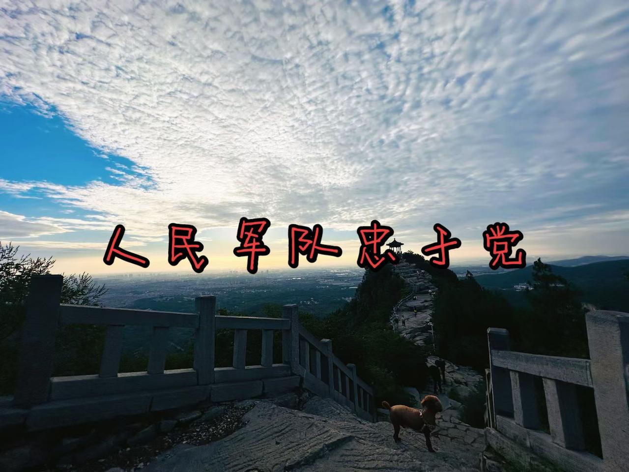人军队忠于党