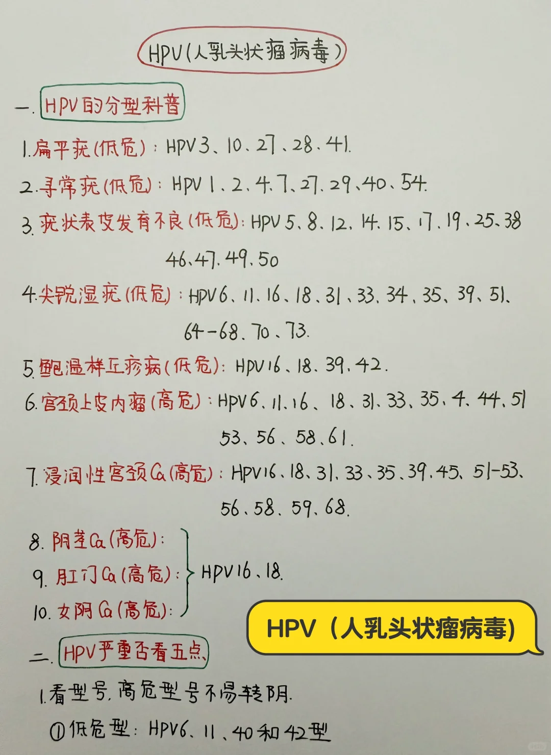 今日学习打卡——HPV(人乳头状瘤病毒)