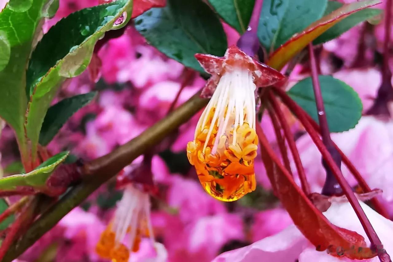 #上联：风吹峻岭千树绿，请对下联#雨洒平原百花开。