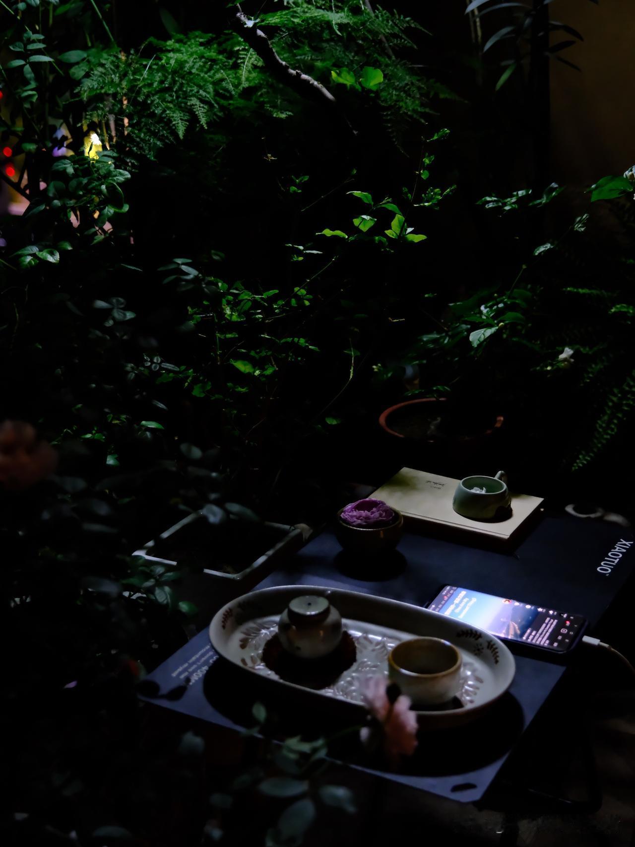 风来的时候
我恰好坐在这里
等风，等暮色
等一朵茉莉花开
宁静了心扉
