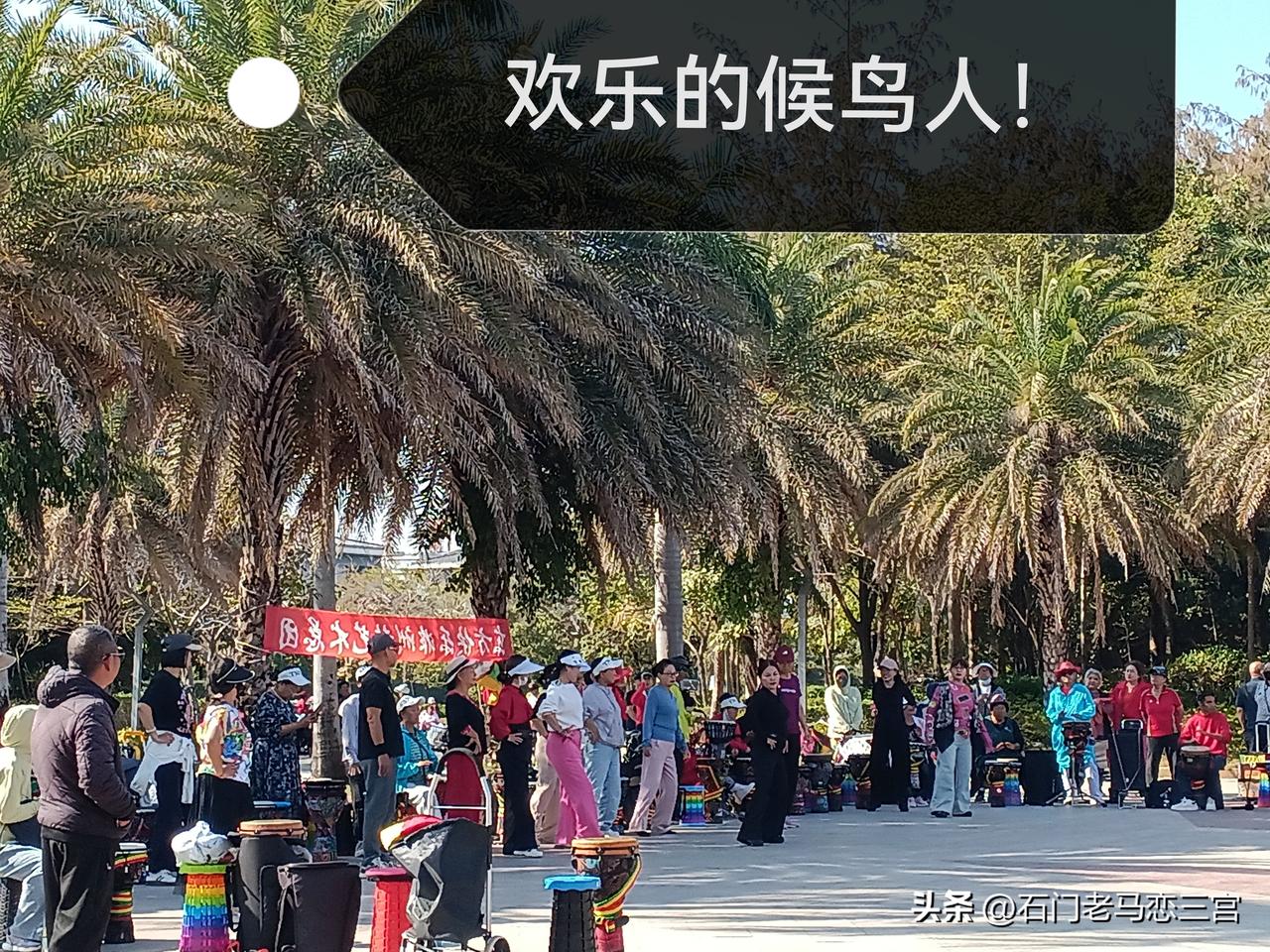 愿回乡的候鸟们！身体健康万事顺遂！[祈祷]