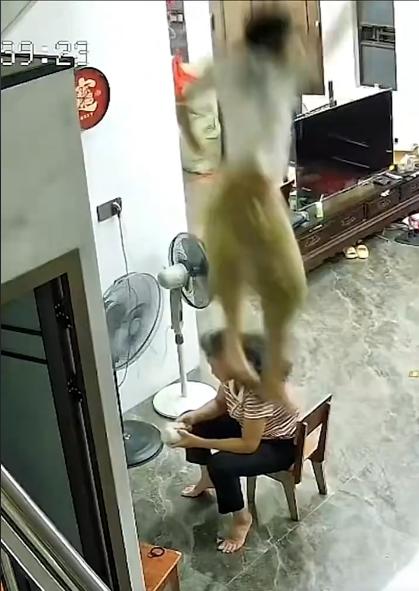 无知者无畏，八岁男孩模仿奥特曼从高处跳下！

根据央视新闻爆料，这起悲剧背后，是