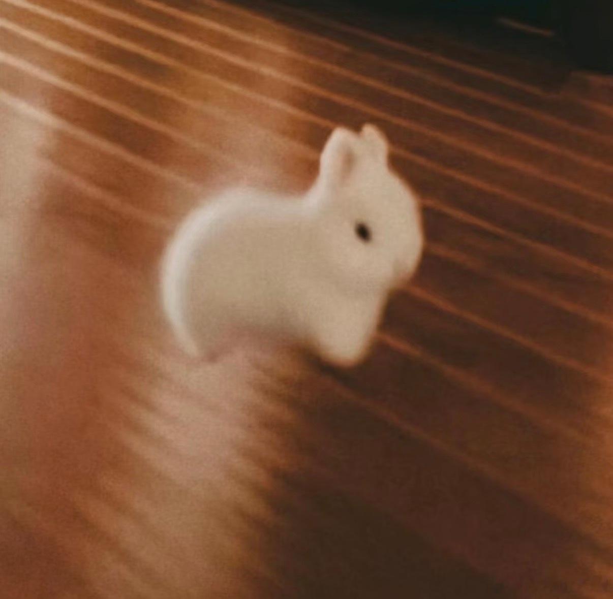 发现大家很喜欢小兔叽再更一期可爱兔兔头像🐰🐰大家喜欢吗🥰 
