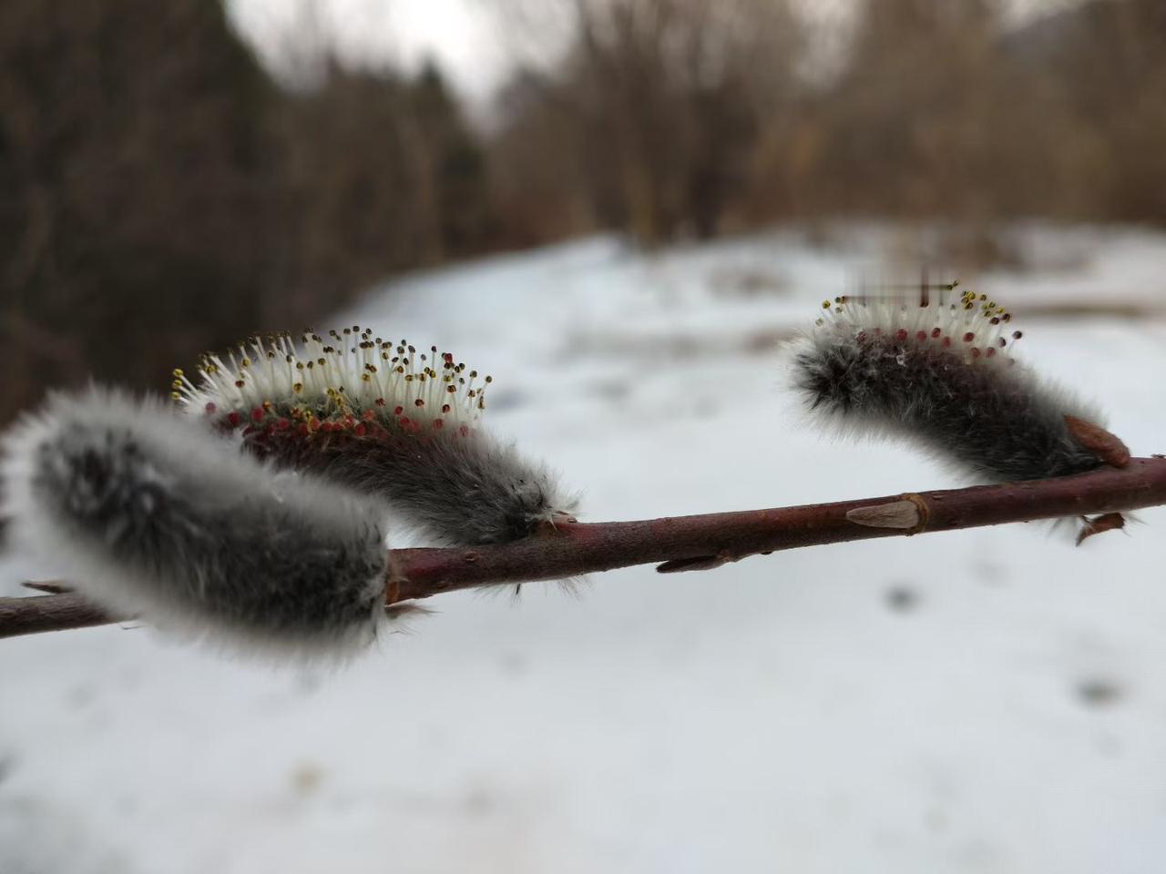 与痛风斗争的历程210
 
   今早醒来，浑身关节状态平稳，左膝和左肩的痛感也