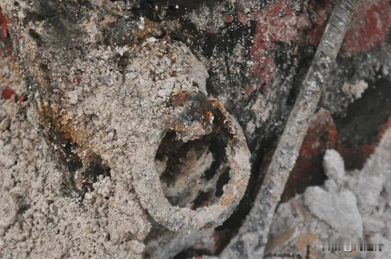 挖掘机师傅夜间作业偶遇东北虎 挖掘机师傅夜间作业偶遇东北虎
11月30日
吉林延