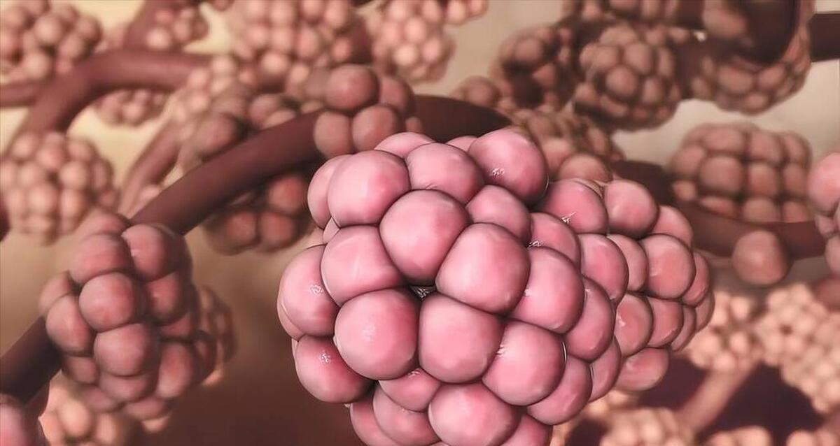 肺气肿为啥治不好，秘密在肺的特性里，吃啥药都消不掉
常常有吸烟的朋友在自己的体检