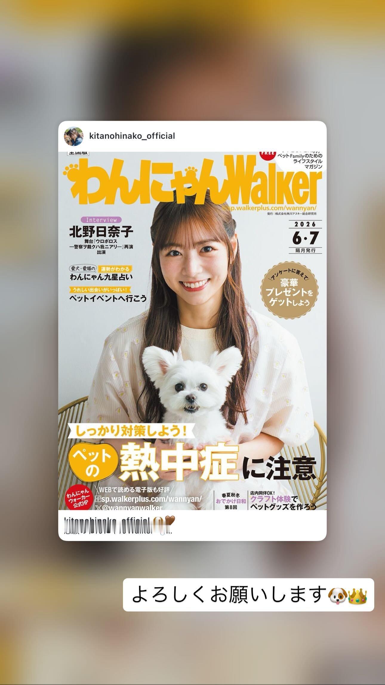 北野日奈子「🐶🤎念願のわんにゃんWalker🫧現在全国のいろいろな場所に置