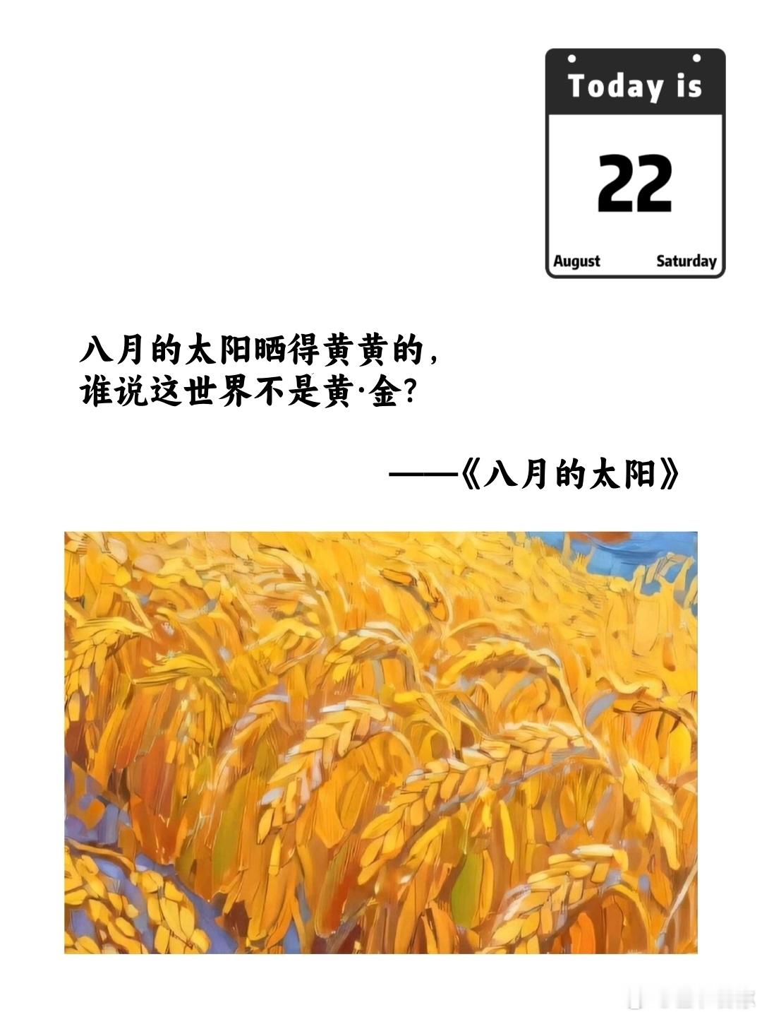 八月的太阳晒得黄黄的，谁说这世界不是黄·金?——《八月的太阳》 
