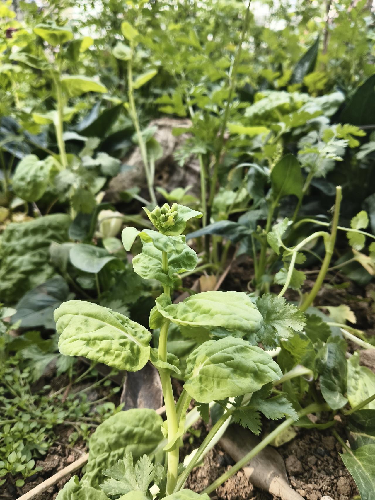 年轻人讨厌“爹味”是为什么年轻人最讨厌父母对他的什么事情都管。让他有一种窒息的感