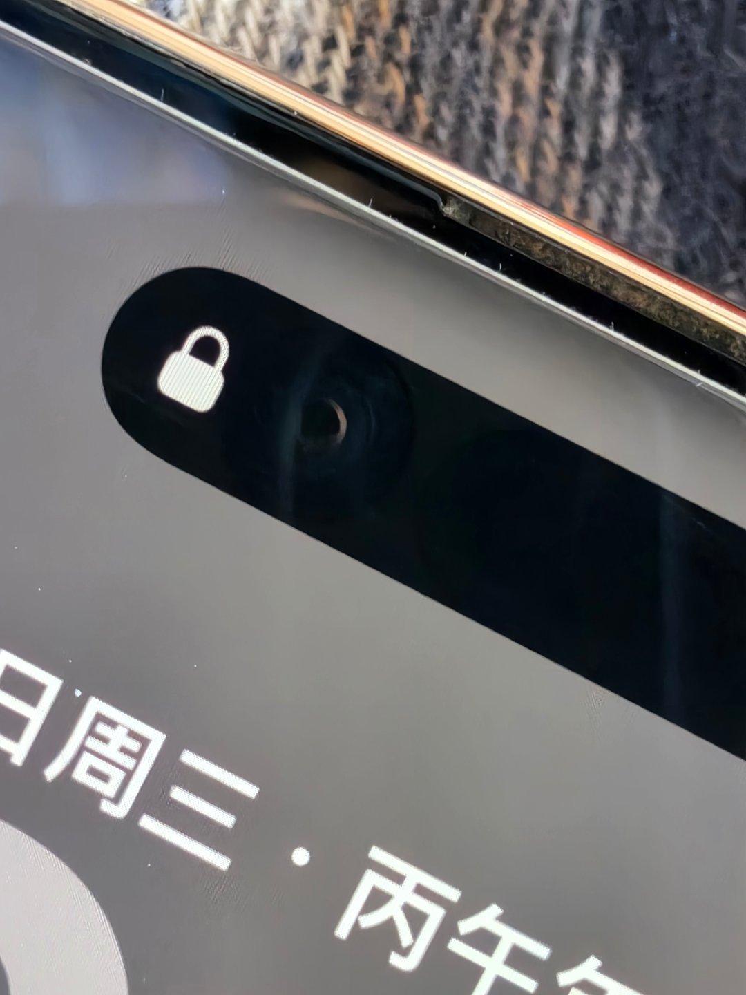 随手试试三星 Galaxy Z Fold8 的微距，还挺强的。我的 iPhone