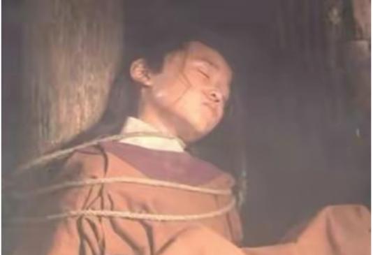 1381年，年仅11岁的郑和被明军俘虏、阉割，做了“秀童”，也就是所谓的军中男妓