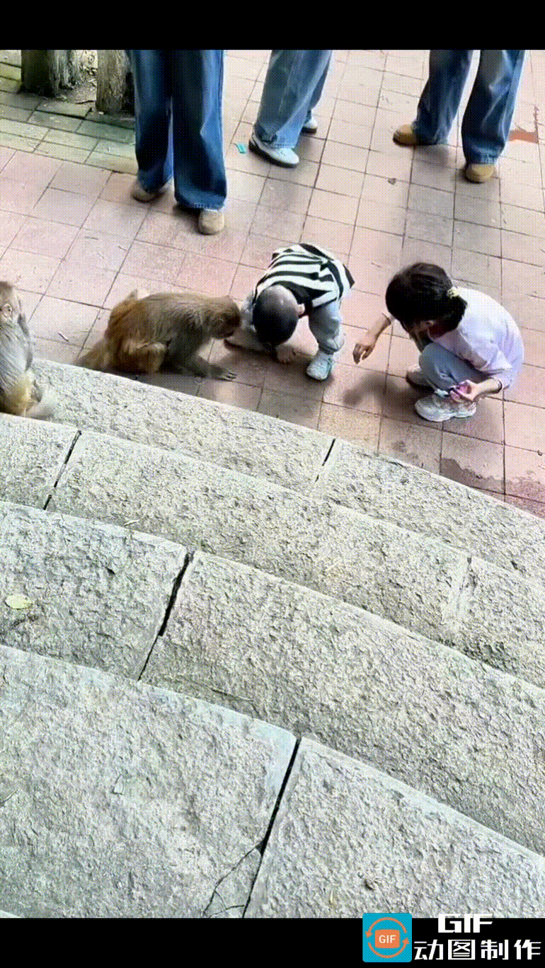 宝宝近距离投喂猴子，猴子佯装接过食物，下一秒突然暴起，抓咬宝宝的头部，宝宝下巴重