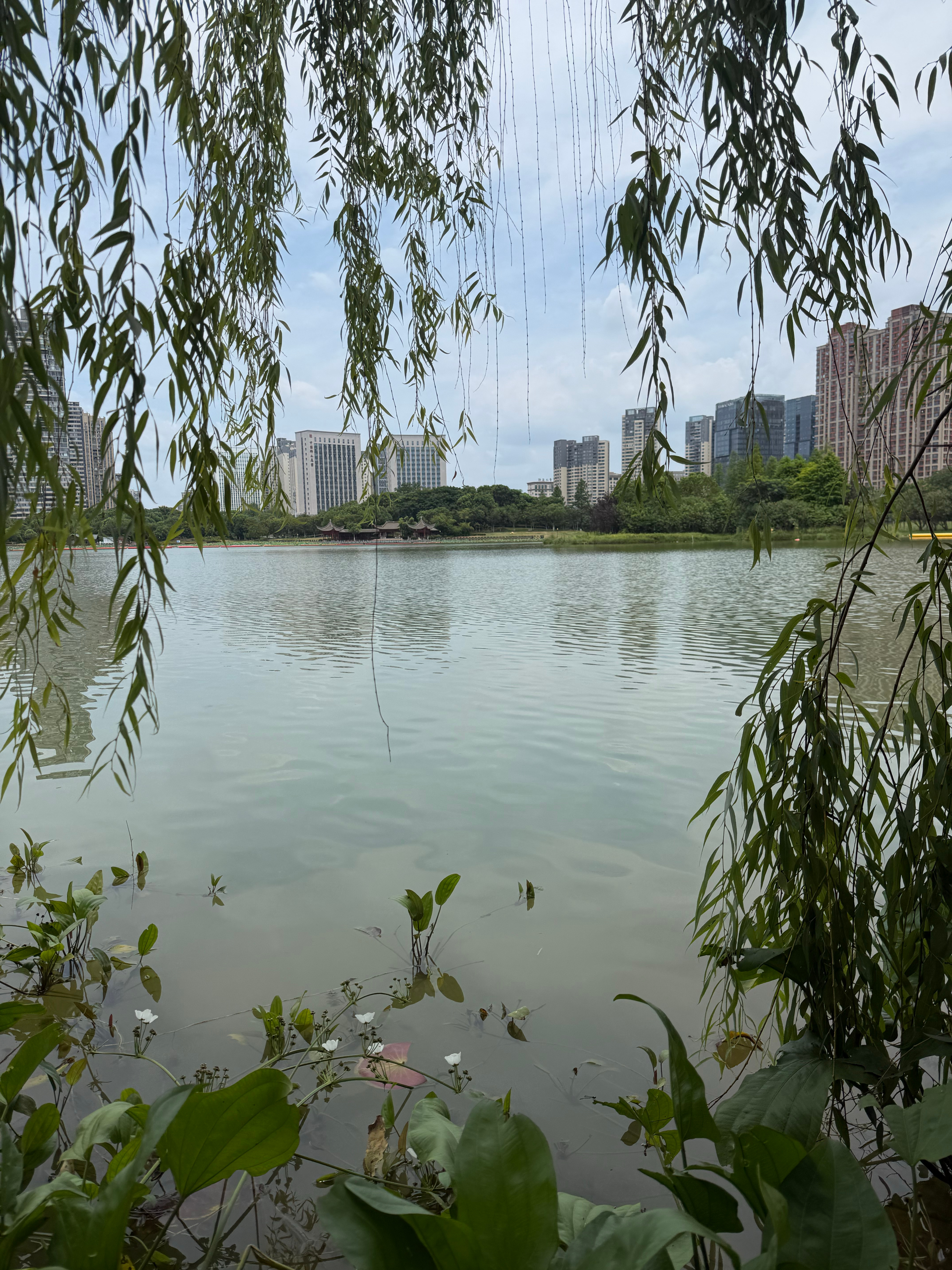 赣州早安 勇敢去行动，把眼前的事做好，把脚下的路走稳，前行的路上自会有你想要的答