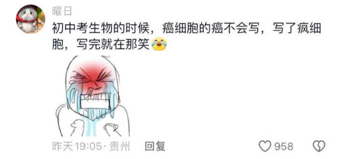 当考试时大脑突然空白[允悲] ​​​